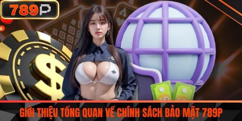 Giới thiệu tổng quan về Chính sách bảo mật 789P
