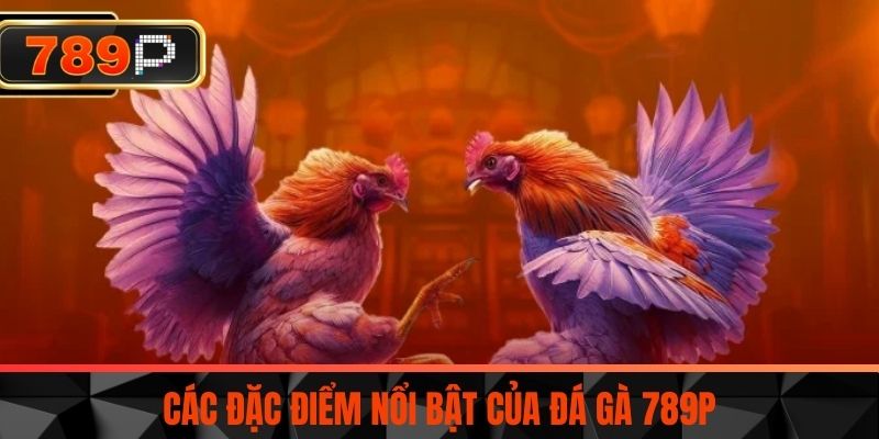 Các đặc điểm nổi bật của Đá Gà 789P