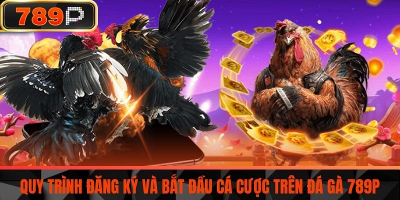 Quy trình đăng ký và bắt đầu cá cược trên Đá Gà 789P