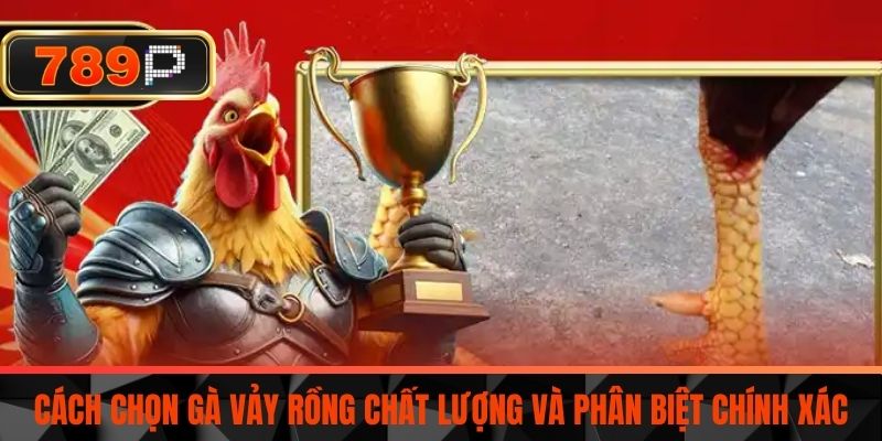 Cách Chọn Gà Vảy Rồng Chất Lượng Và Phân Biệt Chính Xác