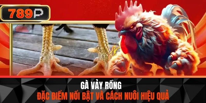 Gà Vảy Rồng - Đặc Điểm Nổi Bật Và Cách Nuôi Hiệu Quả