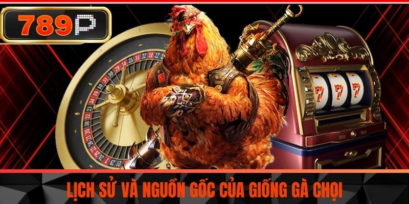 Lịch sử và nguồn gốc của giống gà chọi