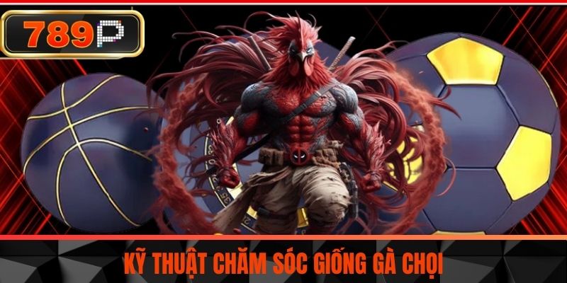 Kỹ thuật chăm sóc giống gà chọi