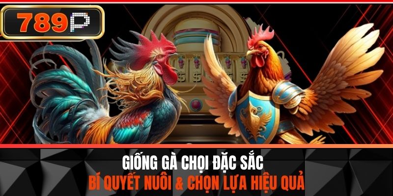 Giống Gà Chọi Đặc Sắc - Bí Quyết Nuôi & Chọn Lựa Hiệu Quả