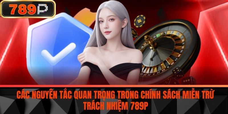 Các nguyên tắc quan trọng trong chính sách miễn trừ trách nhiệm 789P