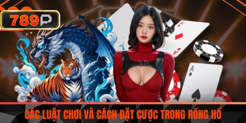 Các Luật Chơi Và Cách Đặt Cược Trong Rồng Hổ