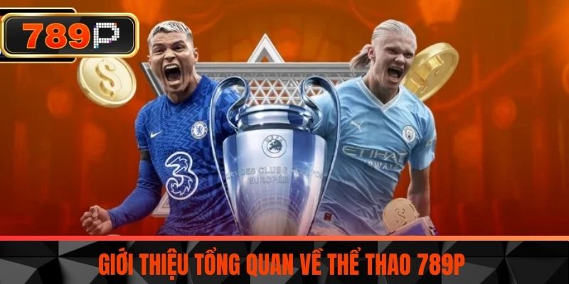 Giới thiệu tổng quan về Thể Thao 789P