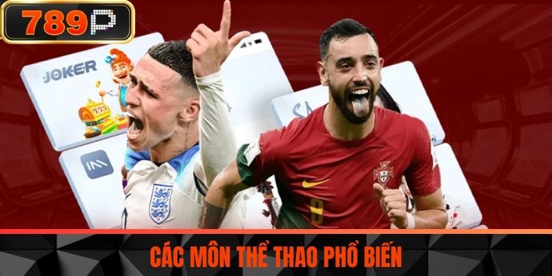 Các môn thể thao phổ biến